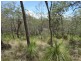 316 Anderson Way, Agnes Water QLD 4677