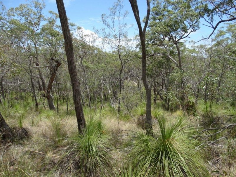 316 Anderson Way, Agnes Water QLD 4677