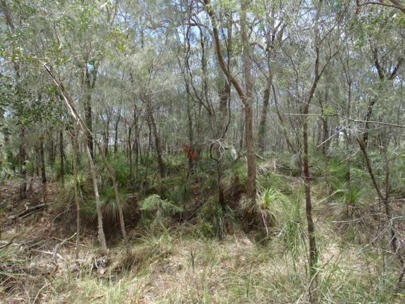 316 Anderson Way, Agnes Water QLD 4677