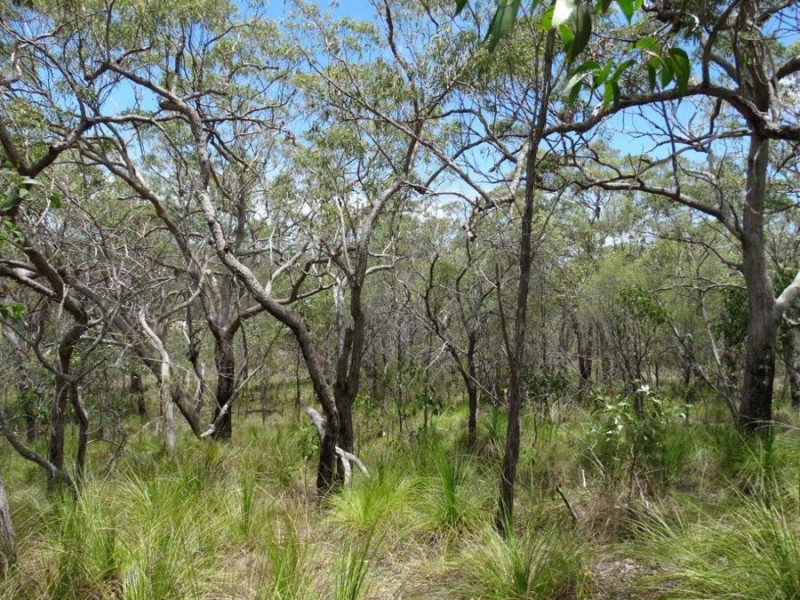 316 Anderson Way, Agnes Water QLD 4677