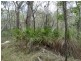 316 Anderson Way, Agnes Water QLD 4677