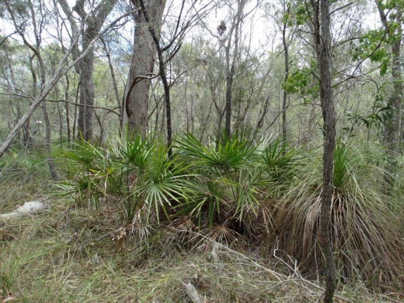 316 Anderson Way, Agnes Water QLD 4677