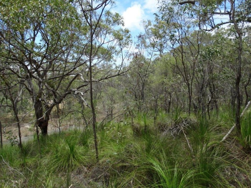 316 Anderson Way, Agnes Water QLD 4677