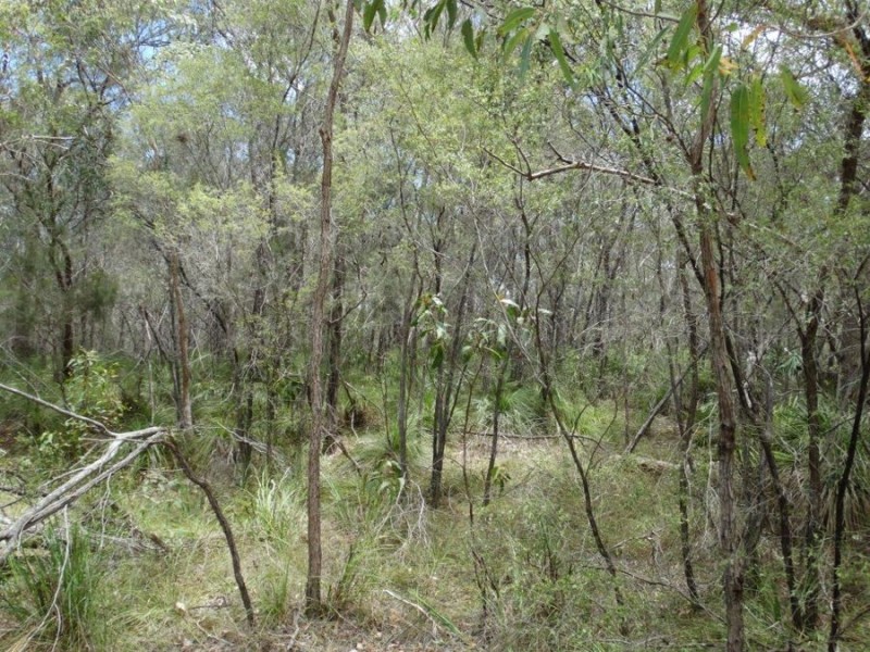 316 Anderson Way, Agnes Water QLD 4677