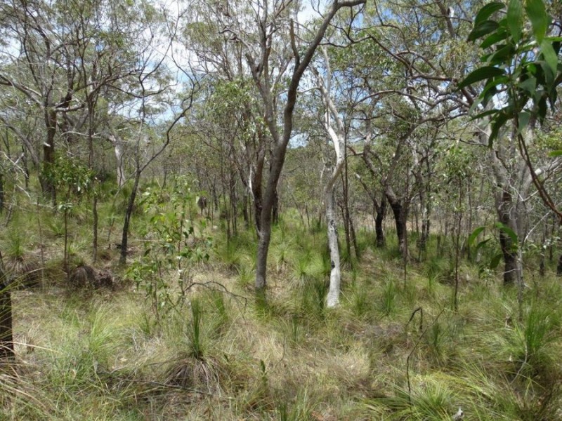 316 Anderson Way, Agnes Water QLD 4677