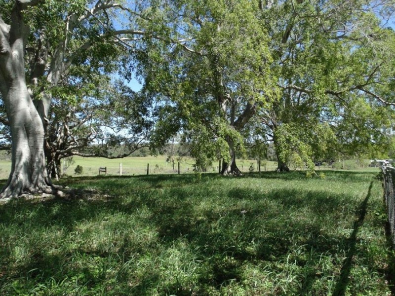 59 Mill Road, Avondale QLD 4670