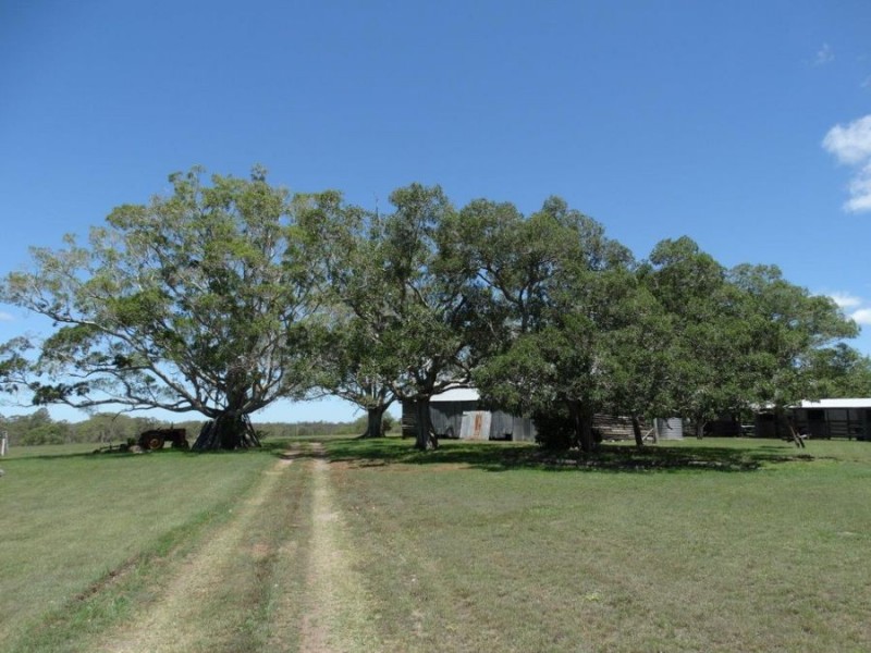 59 Mill Road, Avondale QLD 4670