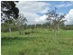 445 Olsen Lane, Rosedale QLD 4674
