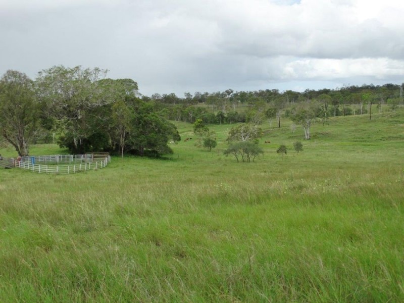 445 Olsen Lane, Rosedale QLD 4674