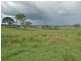445 Olsen Lane, Rosedale QLD 4674