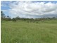 445 Olsen Lane, Rosedale QLD 4674
