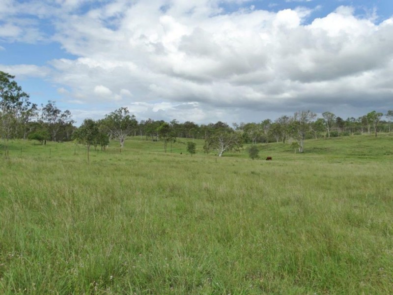 445 Olsen Lane, Rosedale QLD 4674