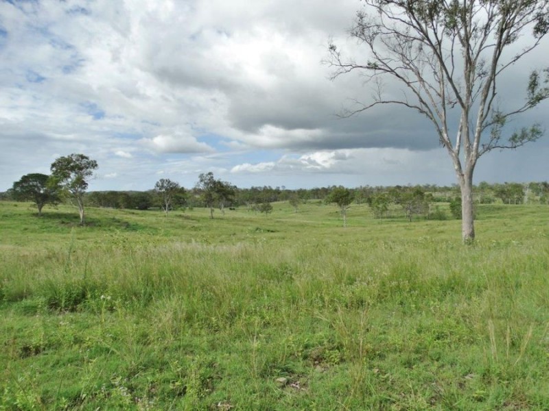 445 Olsen Lane, Rosedale QLD 4674