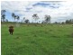 445 Olsen Lane, Rosedale QLD 4674