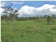 445 Olsen Lane, Rosedale QLD 4674