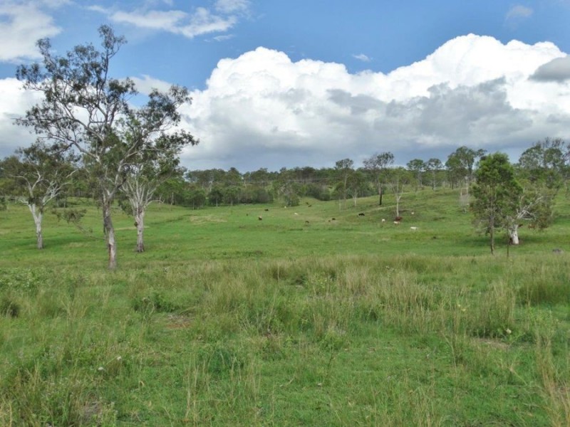 445 Olsen Lane, Rosedale QLD 4674