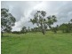 445 Olsen Lane, Rosedale QLD 4674