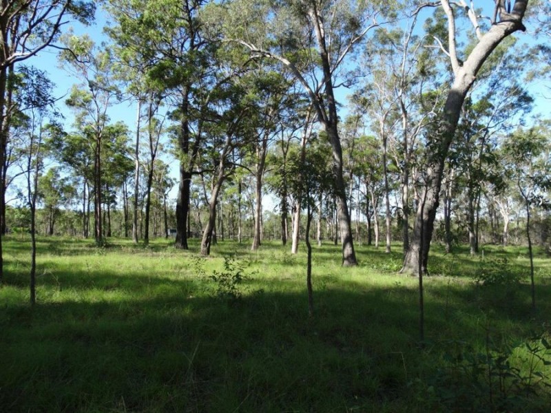 32 Avondale Road, Avondale QLD 4670