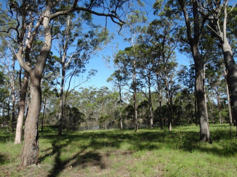 32 Avondale Road, Avondale QLD 4670