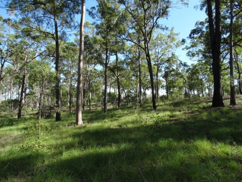 32 Avondale Road, Avondale QLD 4670