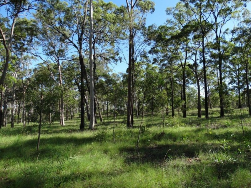 32 Avondale Road, Avondale QLD 4670