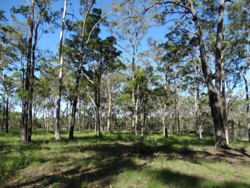 32 Avondale Road, Avondale QLD 4670