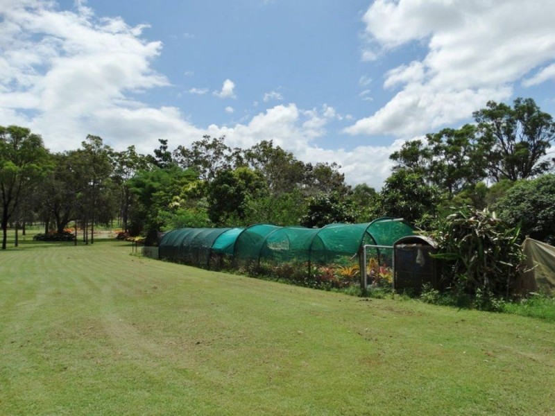 679 Coast Road, Baffle Creek QLD 4674