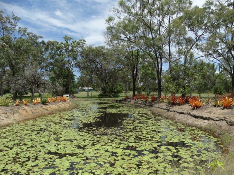 679 Coast Road, Baffle Creek QLD 4674
