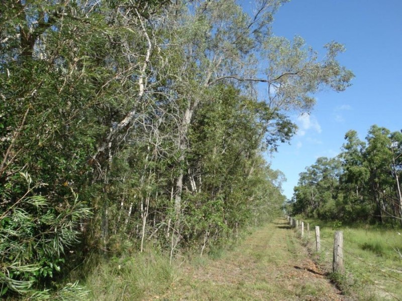 125 Muller Road, Baffle Creek QLD 4674