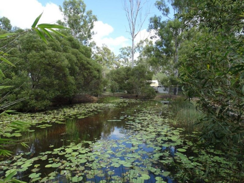 190 Maiseys Road, Yandaran QLD 4673