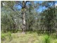 Lot 177 Oceanna Drive, Deepwater QLD 4674
