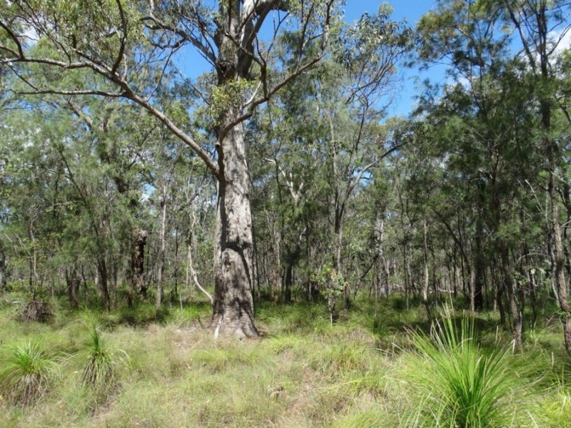 Lot 177 Oceanna Drive, Deepwater QLD 4674
