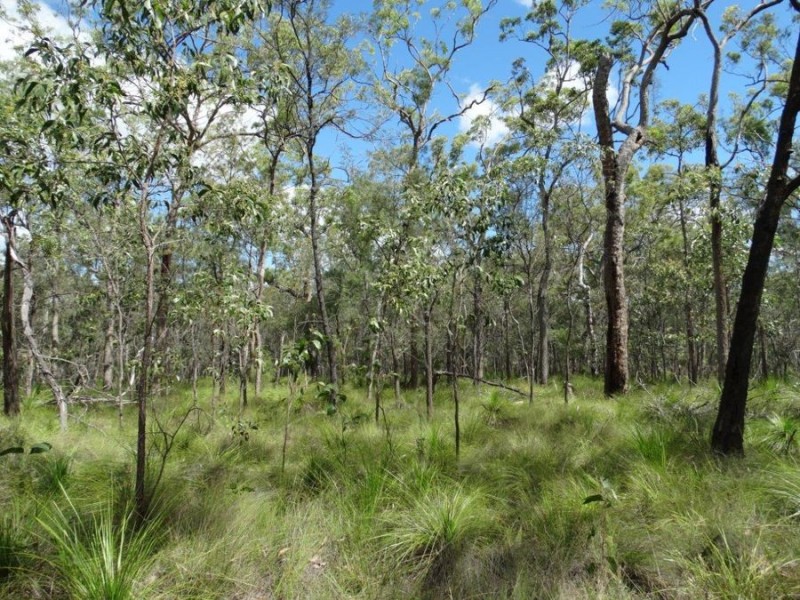Lot 177 Oceanna Drive, Deepwater QLD 4674