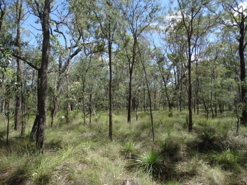 Lot 177 Oceanna Drive, Deepwater QLD 4674