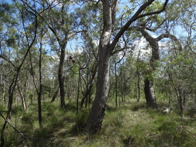 Lot 177 Oceanna Drive, Deepwater QLD 4674