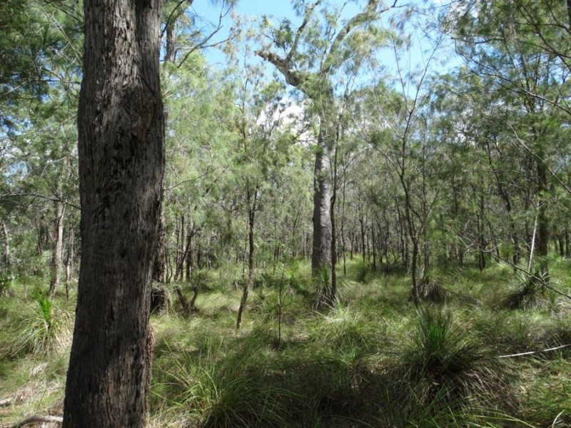 Lot 177 Oceanna Drive, Deepwater QLD 4674