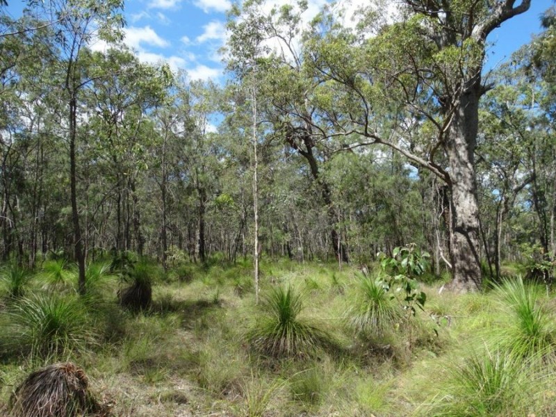 Lot 177 Oceanna Drive, Deepwater QLD 4674