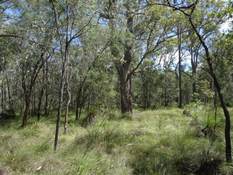 Lot 177 Oceanna Drive, Deepwater QLD 4674