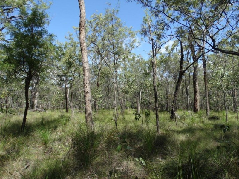 Lot 177 Oceanna Drive, Deepwater QLD 4674