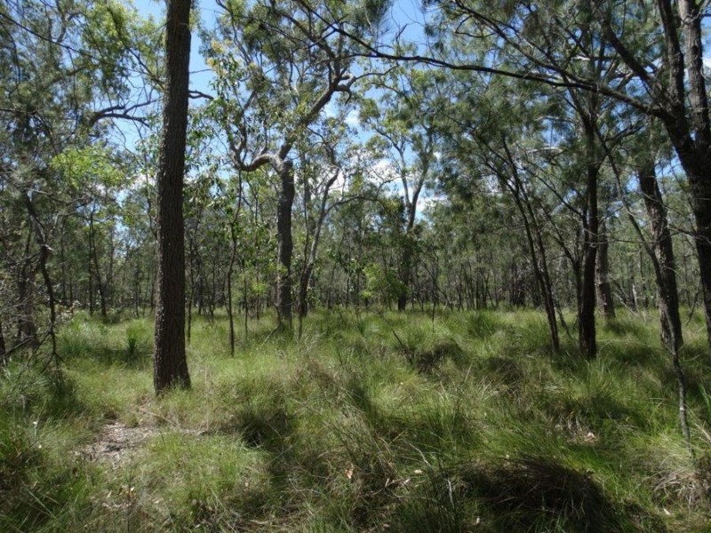 Lot 177 Oceanna Drive, Deepwater QLD 4674