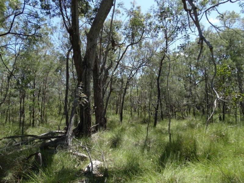 Lot 177 Oceanna Drive, Deepwater QLD 4674