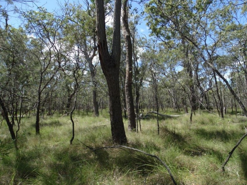 Lot 177 Oceanna Drive, Deepwater QLD 4674