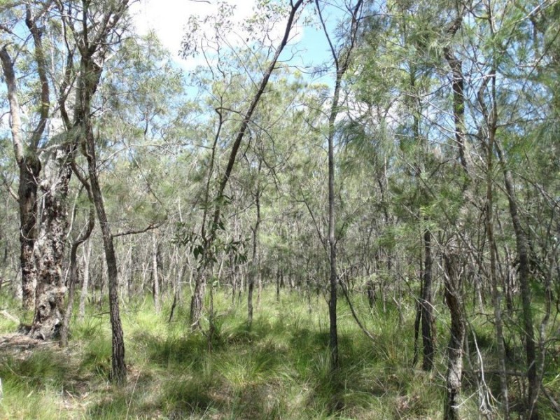 Lot 177 Oceanna Drive, Deepwater QLD 4674
