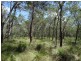 Lot 177 Oceanna Drive, Deepwater QLD 4674