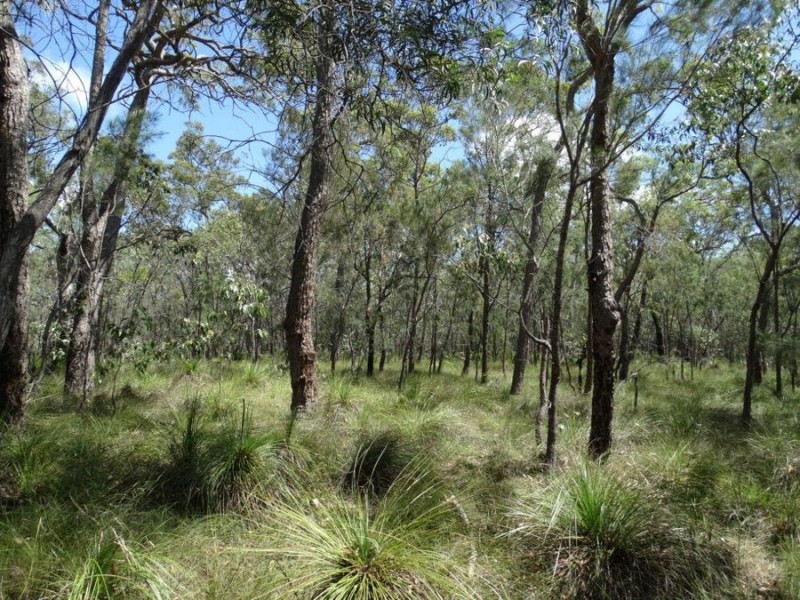 Lot 177 Oceanna Drive, Deepwater QLD 4674
