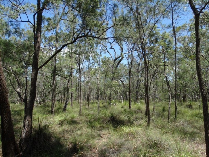 Lot 177 Oceanna Drive, Deepwater QLD 4674