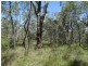 Lot 177 Oceanna Drive, Deepwater QLD 4674
