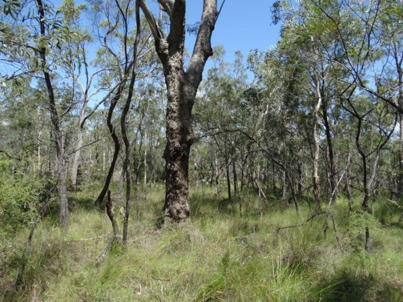 Lot 177 Oceanna Drive, Deepwater QLD 4674