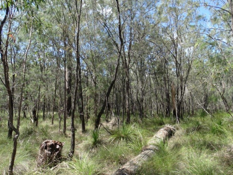 Lot 177 Oceanna Drive, Deepwater QLD 4674