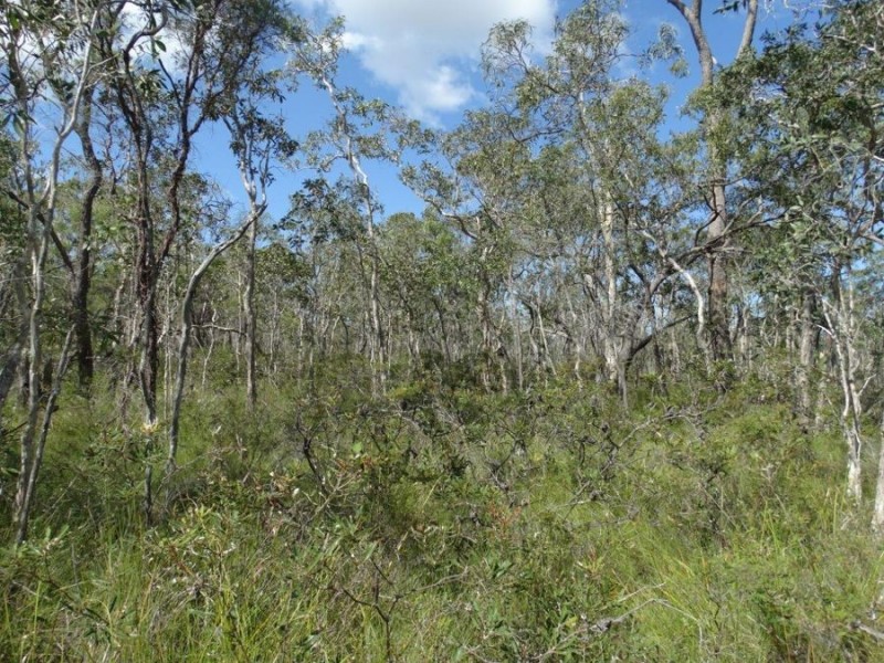 Lot 177 Oceanna Drive, Deepwater QLD 4674